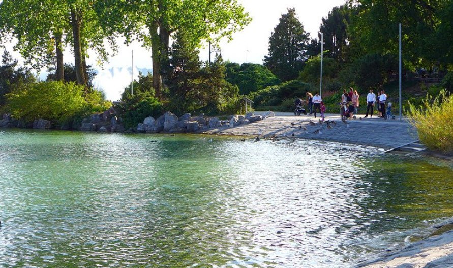 Arboretum Zürich, Switzerland